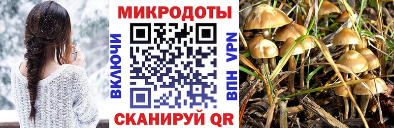 Купить  Навашино  Галлюциногенные грибы мухоморы 